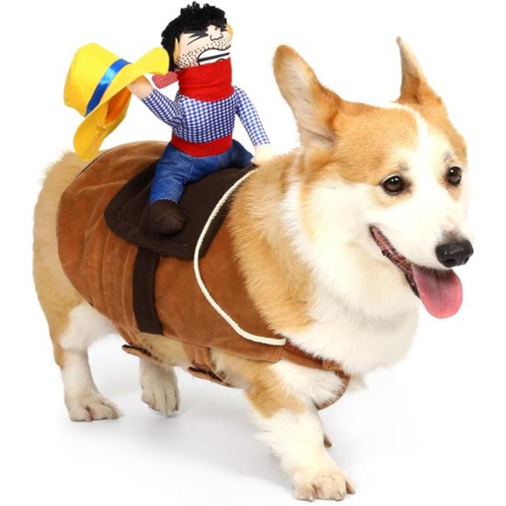 Brand New Cowboy Rider Dog Costume